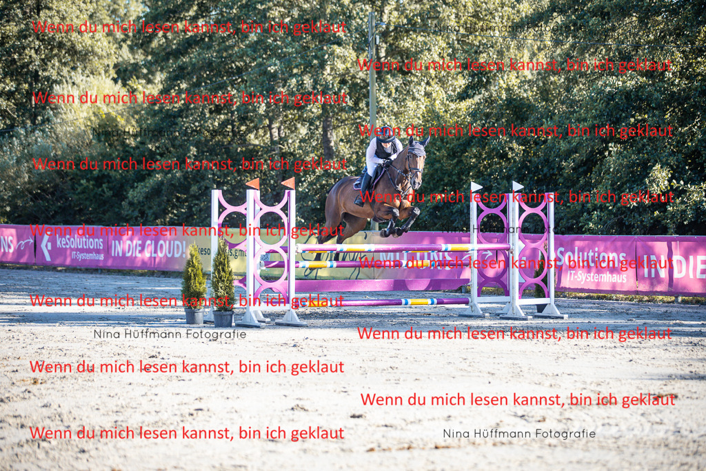 BK1A6106 | Turnierbilder Turnierfotos Nina Hüffmann Turnierfotografie Pferdefotografie Tierzeichnung Haustierzeichnung Pferdezeichnung Hundezeichnung Videograf  - Realisiert mit Pictrs.com