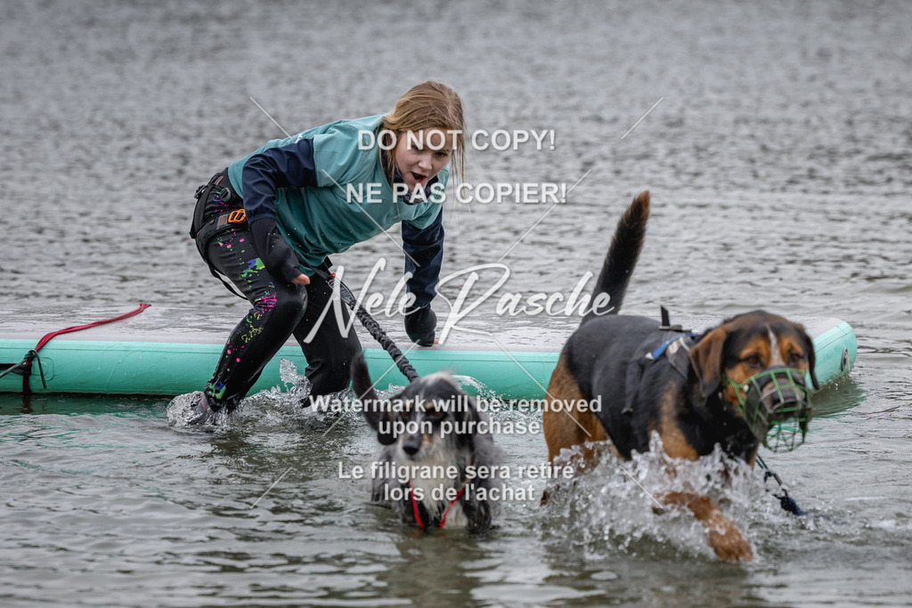 nelerasche_Hulsbeek_Sa1330-1430_151 | nelerasche