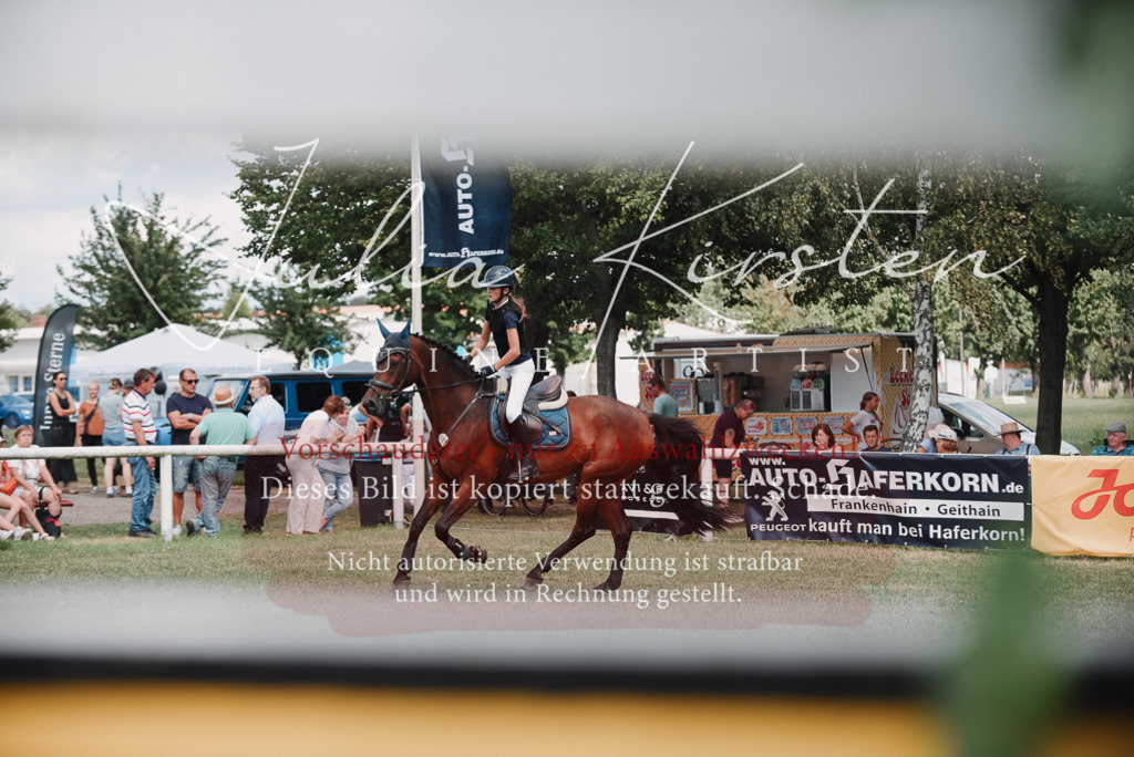 DSC_5692 | Pferde- und Turnierfotografie in Westsachsen. Pferdeportraits, Auftragszeichnungen und intuitive Kunst.