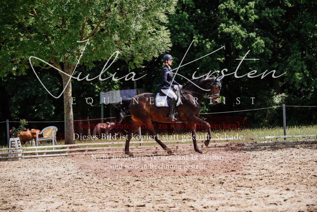 DSC_1509 | Pferde- und Turnierfotografie in Westsachsen. Pferdeportraits, Auftragszeichnungen und intuitive Kunst.