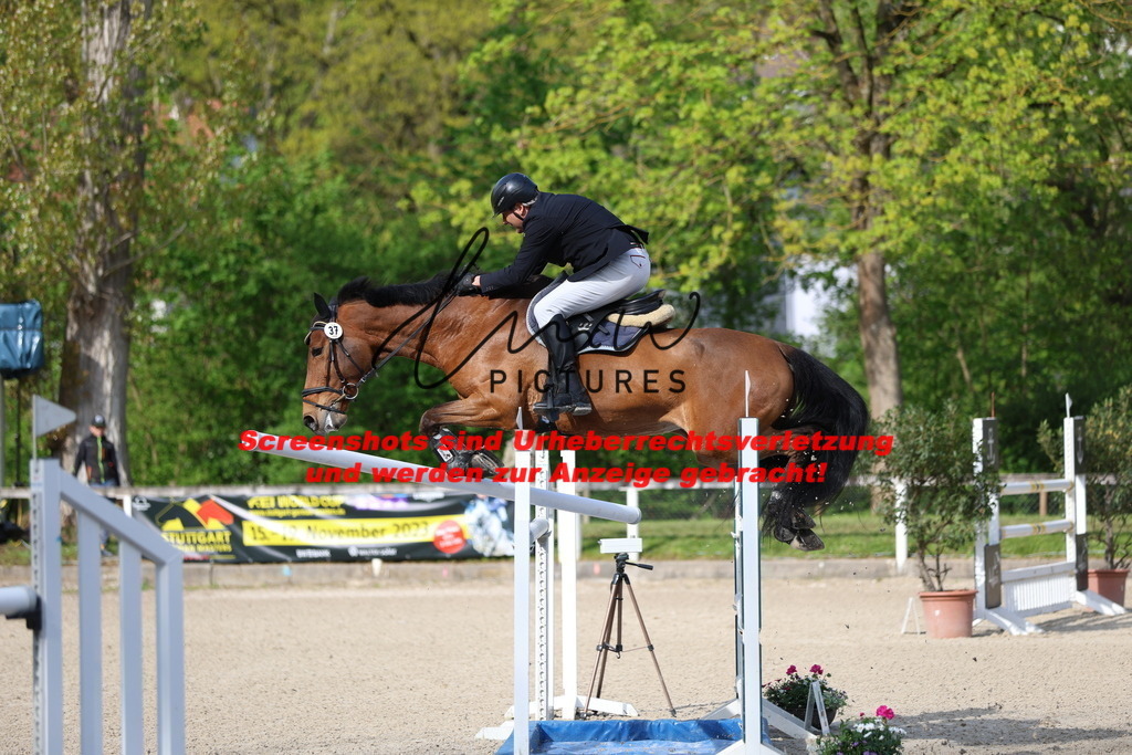 A40A2825 | lmwpictures - Realisiert mit Pictrs.com