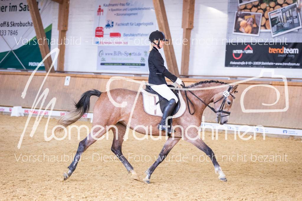 Sth-A-Dre-1St-151 | MomenTaufnahmen Pferdesportfotos