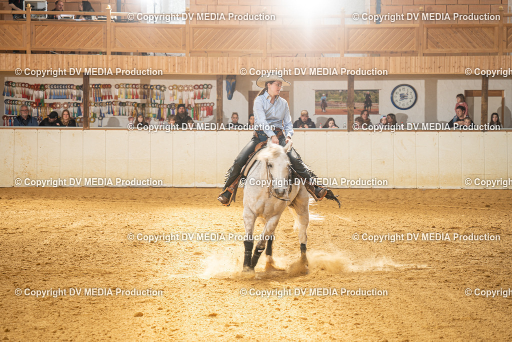 MIT01331 | dv-media-shop - Realisiert mit Pictrs.com