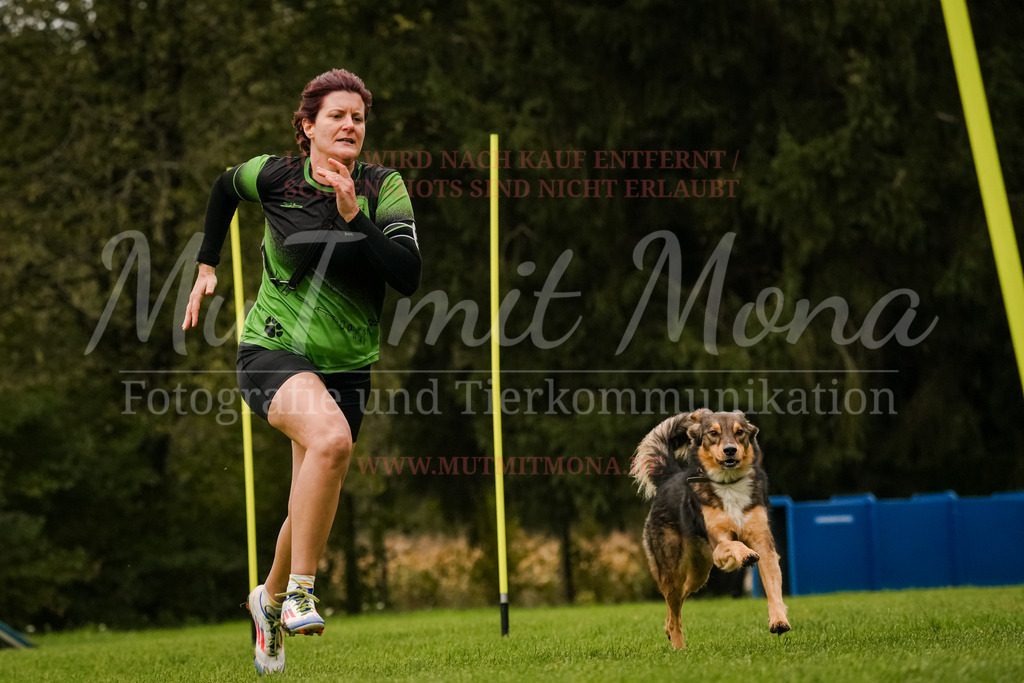 20251005_THS_Turnier-442 | MuT (Mensch und Tier) mit Mona - Fotografie und Tierkommunikation - Realisiert mit Pictrs.com