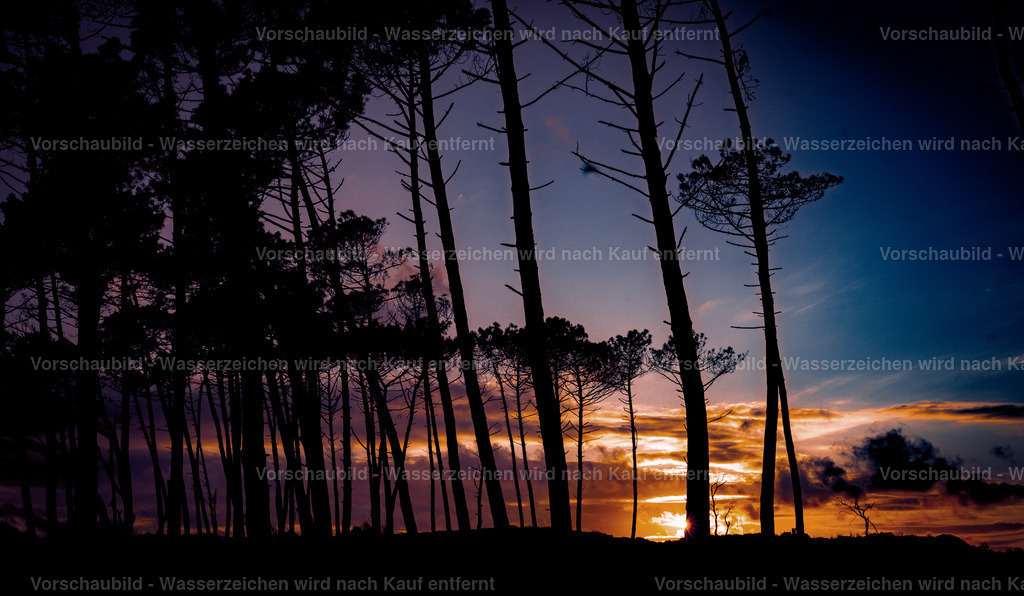 DSC01847-3 | marcuslinek