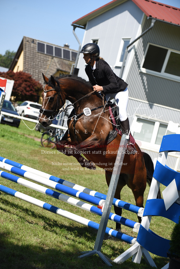 DSC_9545 | Pferde- und Turnierfotografie in Westsachsen. Pferdeportraits, Auftragszeichnungen und intuitive Kunst.
