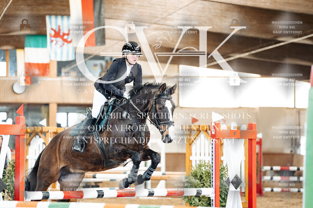CK905352 | Turnierfotografie Pferdefotografie Trier Rheinland-Pfalz Pferdesport Reitsport Tierfotografie Sportfotografie Pferdevideo Pferdevideografie Equestrianvideography equestrianphotography  - Realized with Pictrs.com
