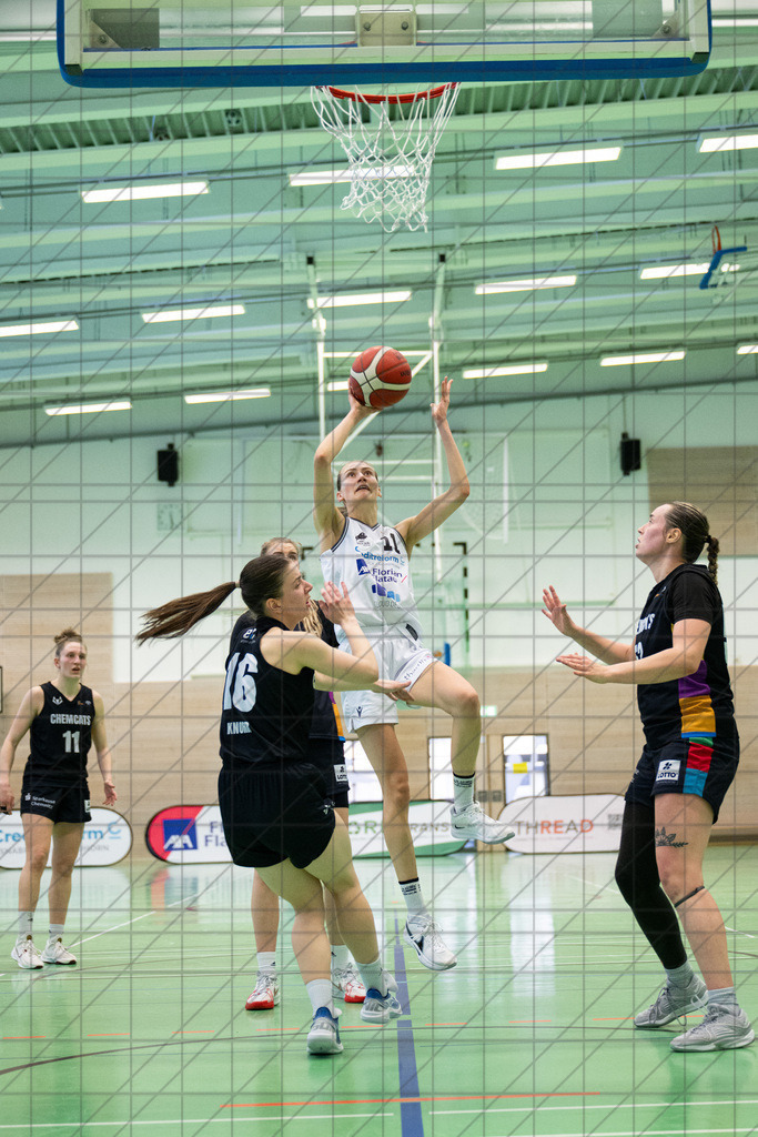 2. DBBL Nord 24/25 | 09.03.2025 | BBC OS vs. ChemCats Chemnitz | 2. DBBL Nord 24/25 | 09.03.2025 | BBC OS vs. ChemCats Chemnitz - - - - - CREDIT, www.bullenfotos.de, Martin König, Hörner Weg 40, D-49078 Osnabrück, +4917663732967, Nutzung und Weitergabe nur zu den vereinbarten Zwecken. Presseanfragen an Urheber. Alle Rechte beim Urheber. - - - - - - Realisiert mit Pictrs.com