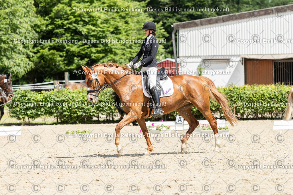 CL5A0245 | Emilia Reinking Fotografie - Realisiert mit Pictrs.com