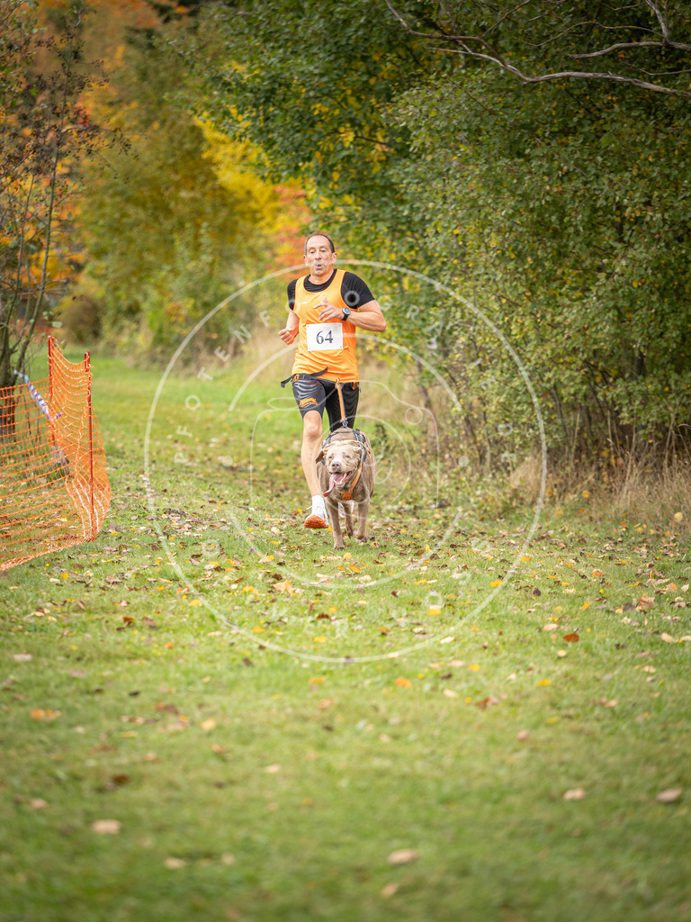 Pfotenfotografie_DV3A2724 | Hundefotografie, Tierfotograf, Pfotenfotografie, Fotoshooting Hund, Hunde Portrait, Hundesport, Hundeportraits, Heideshooting, Hunde, Sportfotograf, Hundefotograf, Turnierhundsport, THS,  - Realisiert mit Pictrs.com
