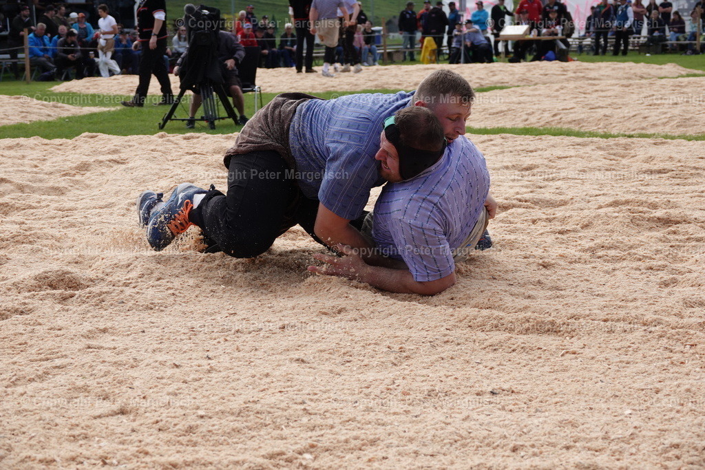DSC00671 | Schwingen - Realisiert mit Pictrs.com