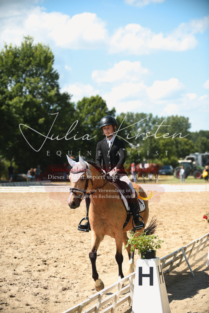 DSC_2585 | Pferde- und Turnierfotografie in Westsachsen. Pferdeportraits, Auftragszeichnungen und intuitive Kunst.