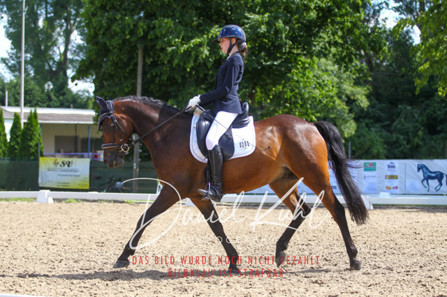 DKP42680 | Turniersportfotografie; Pferdefotografie; Dressurfotografie