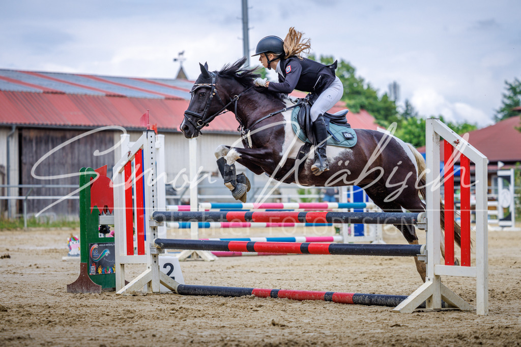 20260705-_3LI3881 | Tierfotografie Pferde, Hunde, Katzen, Haustiere.
Turnierfotografie Reitturniere, Reiten, Springreiten, Dressur in Hanau, dem Main-Kinzig-Kreis und dem Rhein-Main- Gebiet um Frankfurt