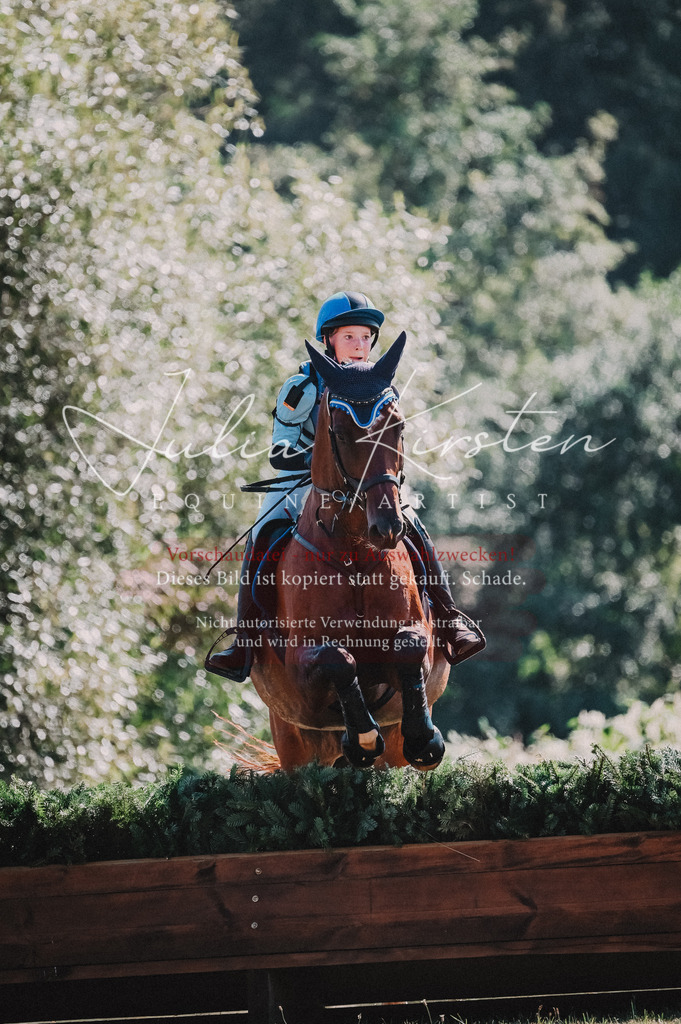 DSC_8064 | Pferde- und Turnierfotografie in Westsachsen. Pferdeportraits, Auftragszeichnungen und intuitive Kunst.
