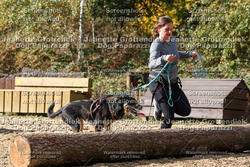 Dog Paparazzi - Strongdog 10-25-5115 | Dog Paparazzi Jeanette Grottendiek Fotografie & Videografie - Realisiert mit Pictrs.com