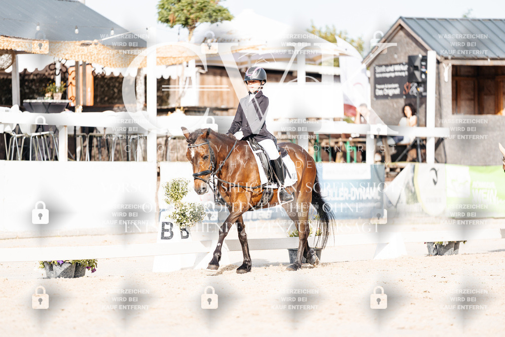 CK904822 | Turnierfotografie Pferdefotografie Trier Rheinland-Pfalz Pferdesport Reitsport Tierfotografie Sportfotografie Pferdevideo Pferdevideografie Equestrianvideography equestrianphotography  - Realisiert mit Pictrs.com