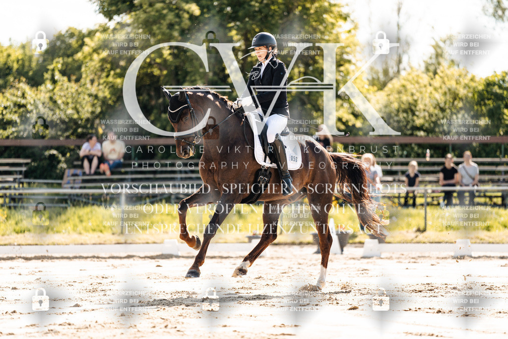 CK909176 | Turnierfotografie Pferdefotografie Trier Rheinland-Pfalz Pferdesport Reitsport Tierfotografie Sportfotografie Pferdevideo Pferdevideografie Equestrianvideography equestrianphotography  - Realisiert mit Pictrs.com