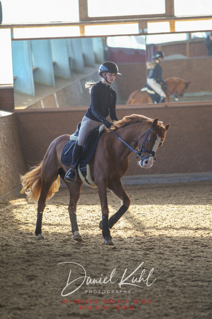 DKP42163 | Turniersportfotografie; Pferdefotografie; Dressurfotografie