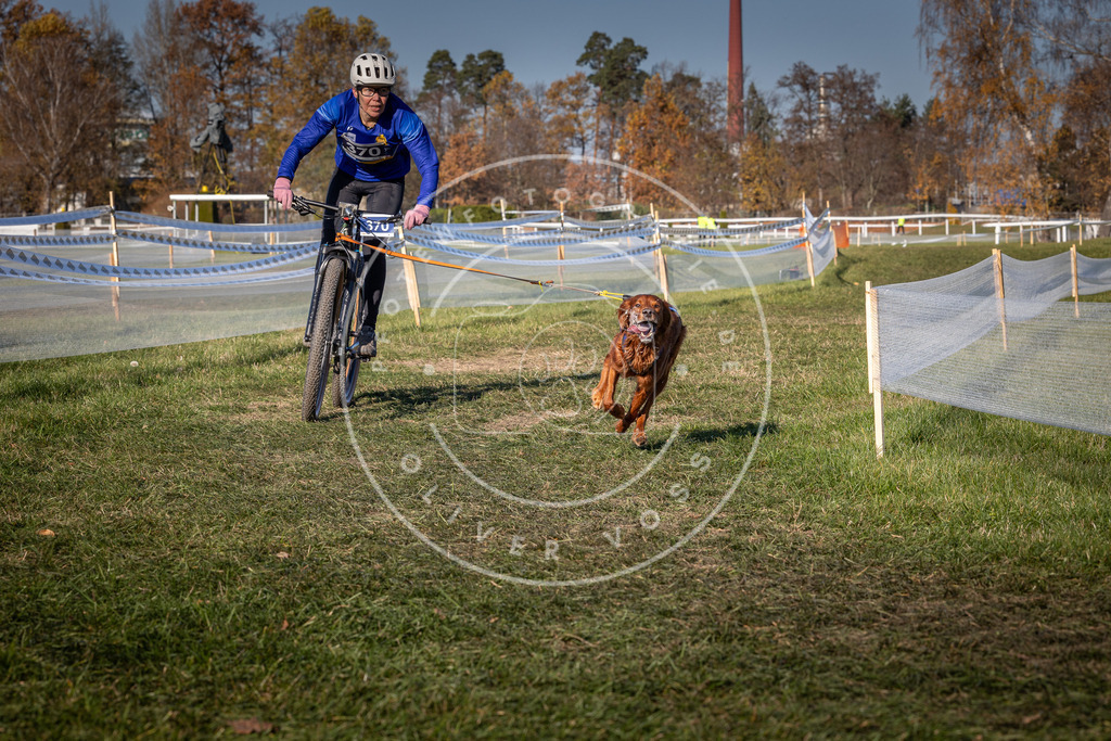 CaniXpix_0L8A6408 | Hundefotografie, Tierfotograf, Pfotenfotografie, Fotoshooting Hund, Hunde Portrait, Hundesport, Hundeportraits, Heideshooting, Hunde, Sportfotograf, Hundefotograf, Turnierhundsport, THS,  - Realisiert mit Pictrs.com