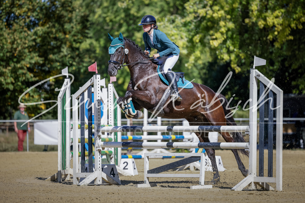 20250906-_3LI3683 | Tierfotografie Pferde, Hunde, Katzen, Haustiere.
Turnierfotografie Reitturniere, Reiten, Springreiten, Dressur in Hanau, dem Main-Kinzig-Kreis und dem Rhein-Main- Gebiet um Frankfurt