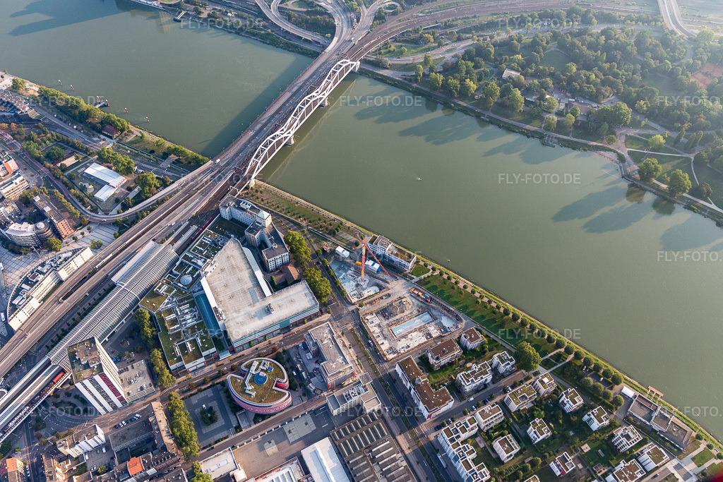 Luftbild: Fluß - Brückenbauwerk der Konradadenauerbrücke für Bahn und B37 über den Rhein am Rhein im Ortsteil Süd in Ludwigshafen im Bundesland Rheinland-Pfalz in Deutschland. Foto: IMG_116910.jpg vom 25.08.2019 durch Werner Riehm/FLY-FOTO.de