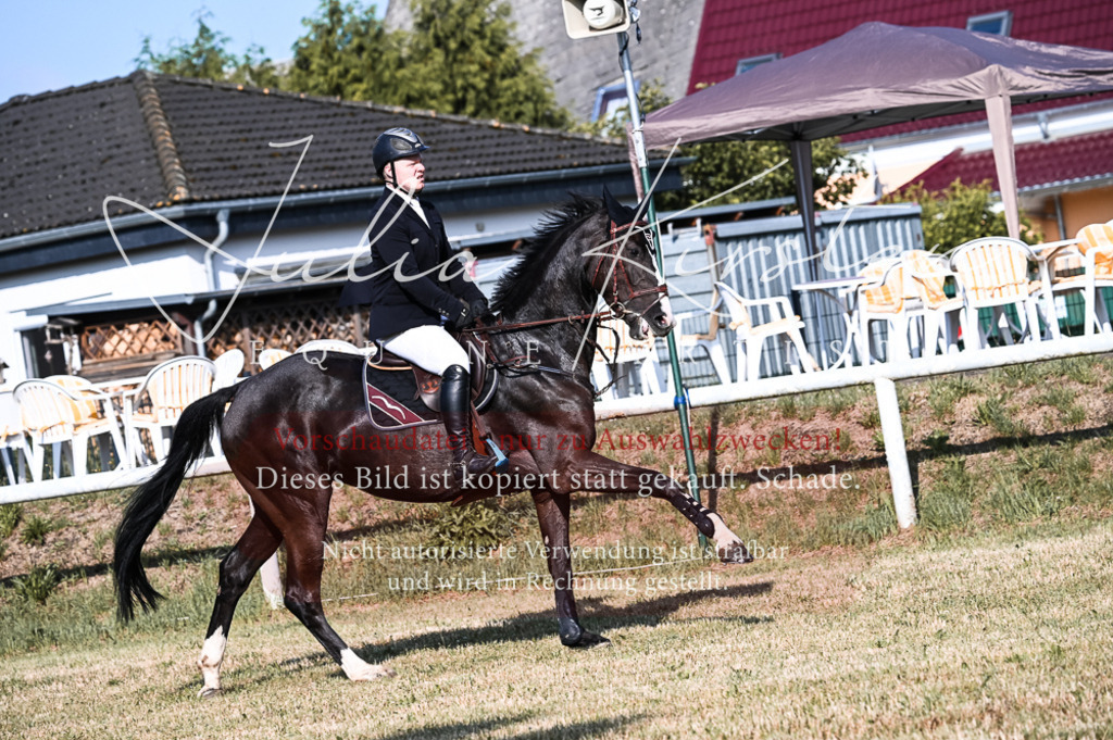 DSC_7518 | Pferde- und Turnierfotografie in Westsachsen. Pferdeportraits, Auftragszeichnungen und intuitive Kunst.