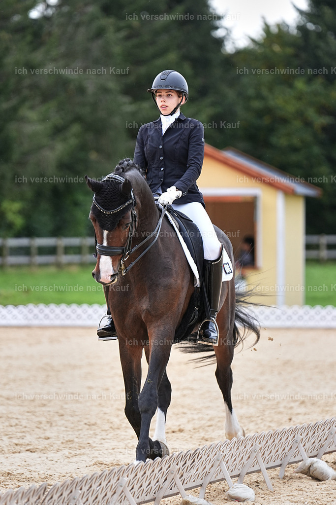 3-224-Dressur M_-Marixx-2009 | working equitationturnier fotograf videograf stoibphotography marixx film working equitation deutschland reitsport turnierfotografie eventfotografie equestrian events