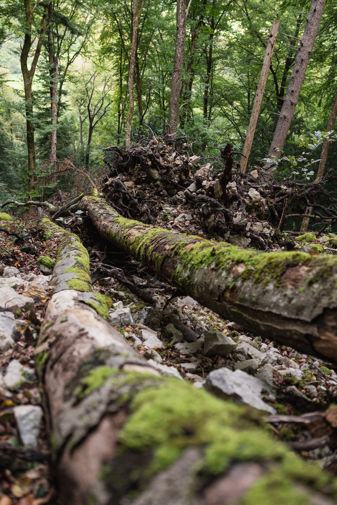 ZD250916092920 | Fotoshop von zweidimensional Fotografie. Ihr Fotograf im Aargau. Abzüge von Ihrem Fotobox Event bestellen.Abzüge von Ihrem Hochzeit bestellen.Abzüge von Ihrem Schulfotograf bestellen.