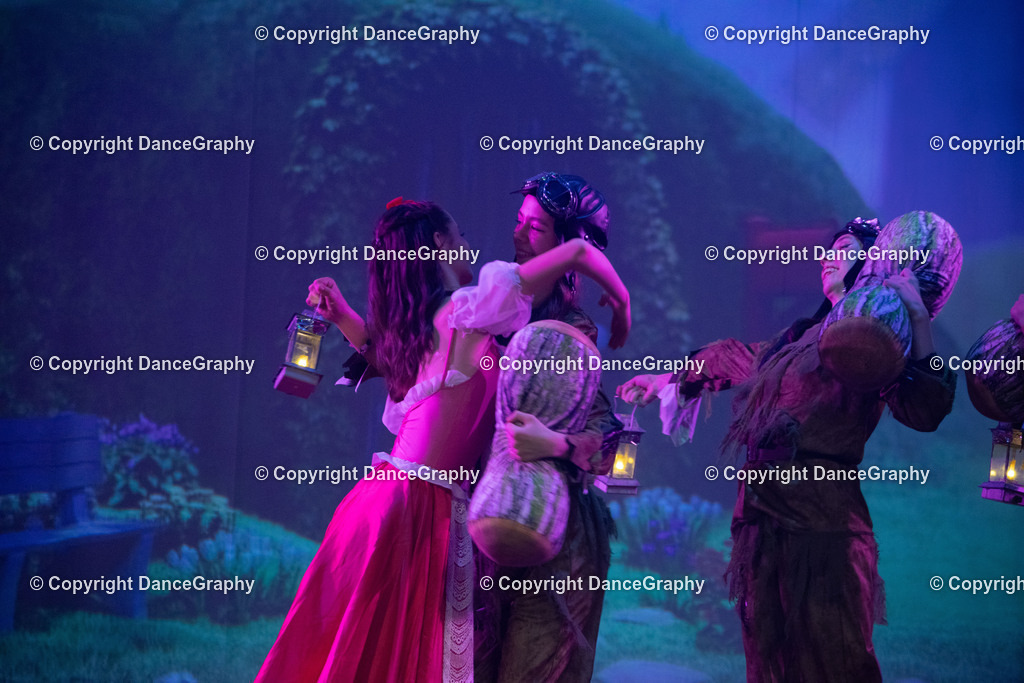 GPHY3186 | DanceGraphy - Realisiert mit Pictrs.com