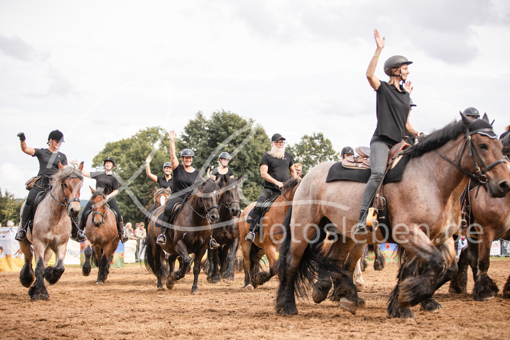 846A4118 | fotosleben - Realisiert mit Pictrs.com