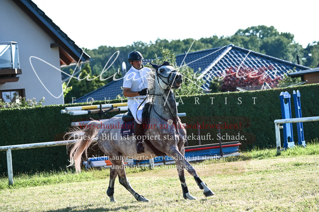 DSC_2812 | Pferde- und Turnierfotografie in Westsachsen. Pferdeportraits, Auftragszeichnungen und intuitive Kunst.