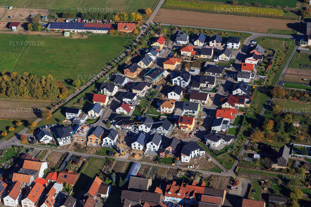 Luftbild: Neubaugebiet Pfarrer-Anselmann-Straße und Im Tabakfeld aus Südwesten in Hatzenbühl im Bundesland Rheinland-Pfalz in Deutschland. Foto: IMG_095343.jpg vom 30.10.2016 durch Werner Riehm/FLY-FOTO.de