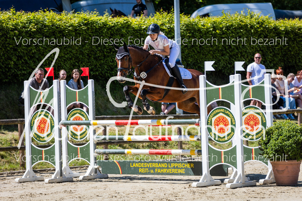 Donop24-Stil-L-011 | MomenTaufnahmen Pferdesportfotos