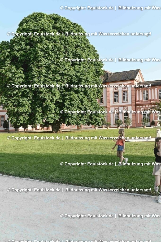 D78_3830 | equistock