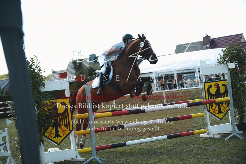DSC_6914 | Pferde- und Turnierfotografie in Westsachsen. Pferdeportraits, Auftragszeichnungen und intuitive Kunst.