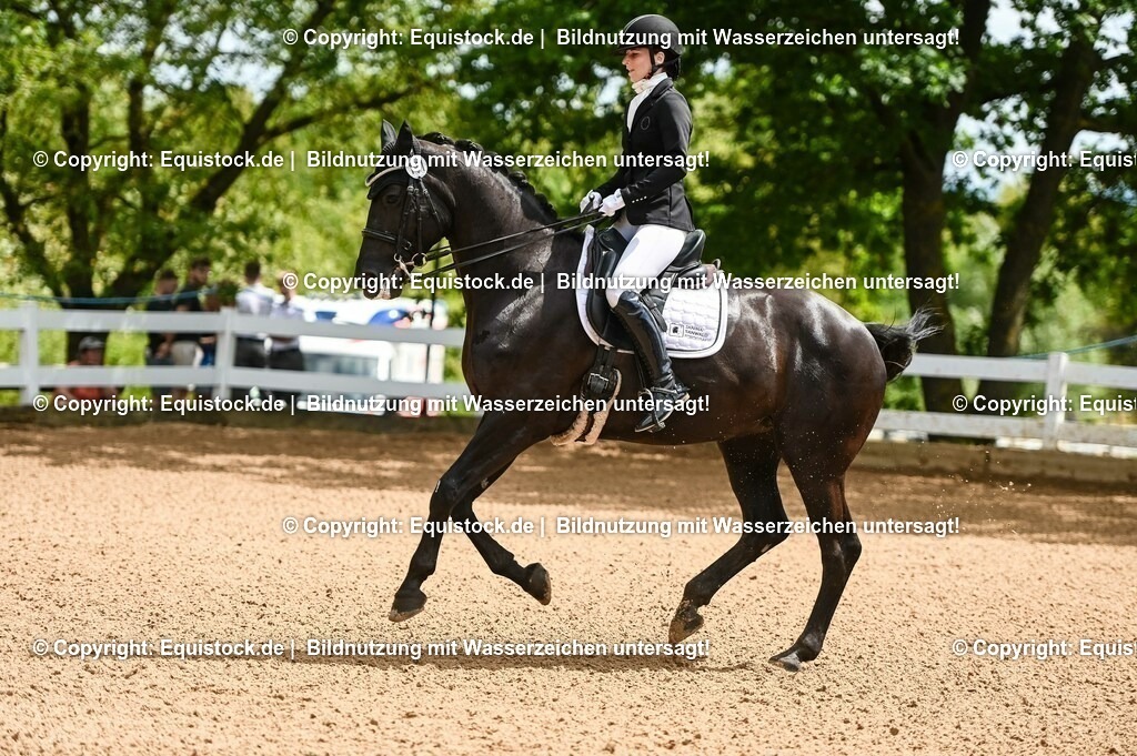 20230716_01_Dressurprüfung Kl.M_0033 | equistock