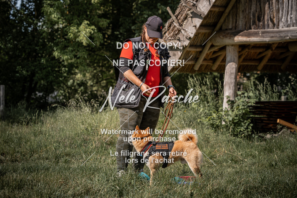 nelerasche_Do-spät_94 | nelerasche