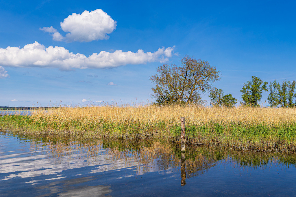 Landschaft am Achterwasser bei Warthe auf der Insel Usedom | Landschaft am Achterwasser bei Warthe auf der Insel Usedom.