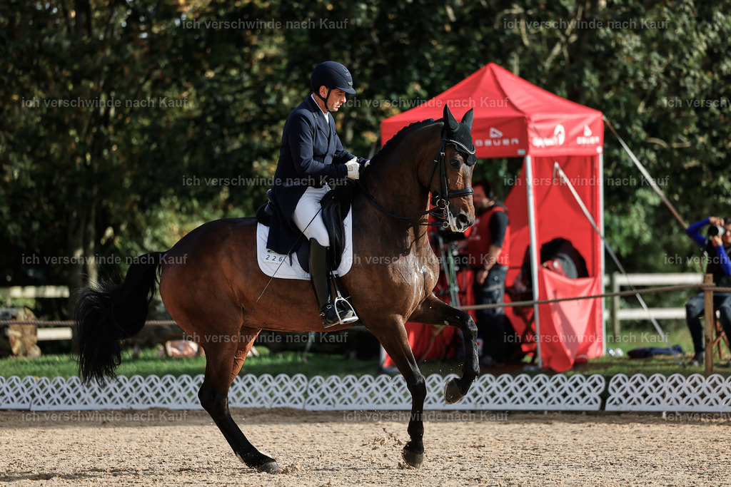 13-226-S___ -StoibPH-6926 | working equitationturnier fotograf videograf stoibphotography marixx film working equitation deutschland reitsport turnierfotografie eventfotografie equestrian events