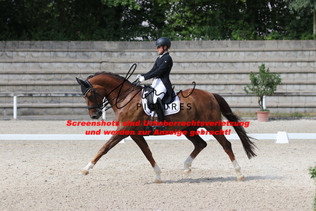 IMG_6844 | lmwpictures - Realisiert mit Pictrs.com