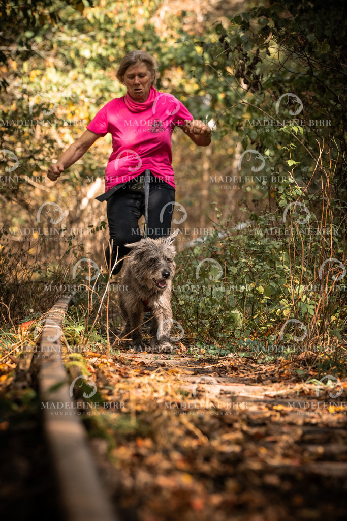 madeleinebirr.fotografie.2026.cc.hunsrueck.12-13Uhr.183 | hundefotografie-birr