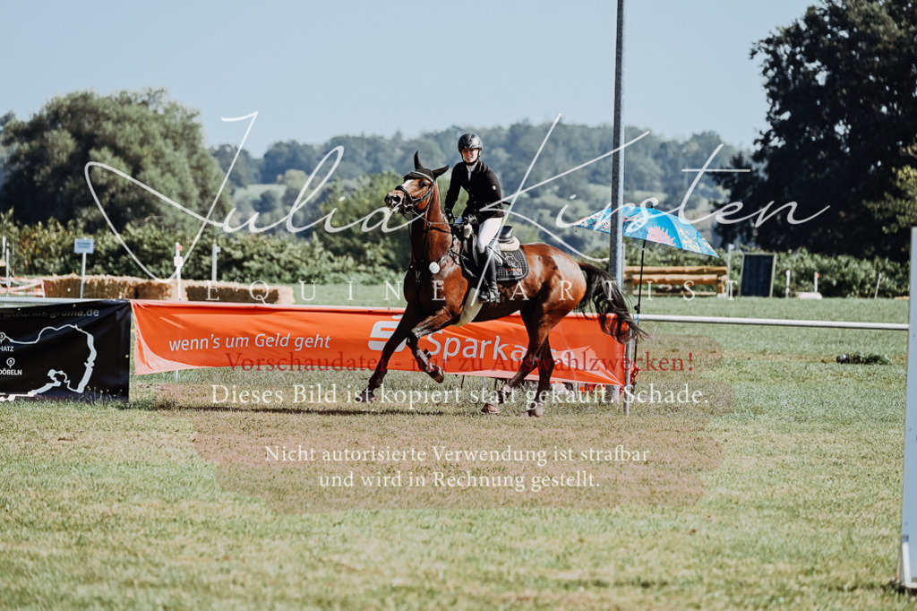 DSC_5838 | Pferde- und Turnierfotografie in Westsachsen. Pferdeportraits, Auftragszeichnungen und intuitive Kunst.