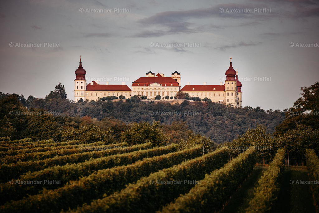 goettweig_umgebung_c_alexander_pfeffel-8531 | alexander-pfeffel - Realisiert mit Pictrs.com