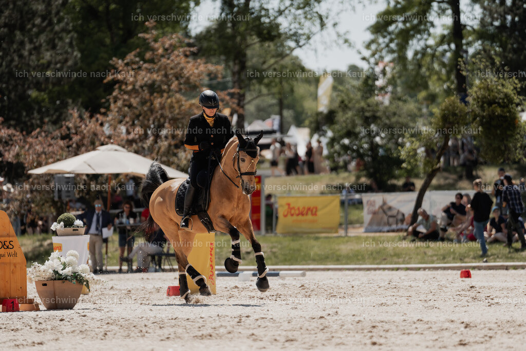 WE_SP_Stoib_319_PI2025_1748 | Pferd International München 2025