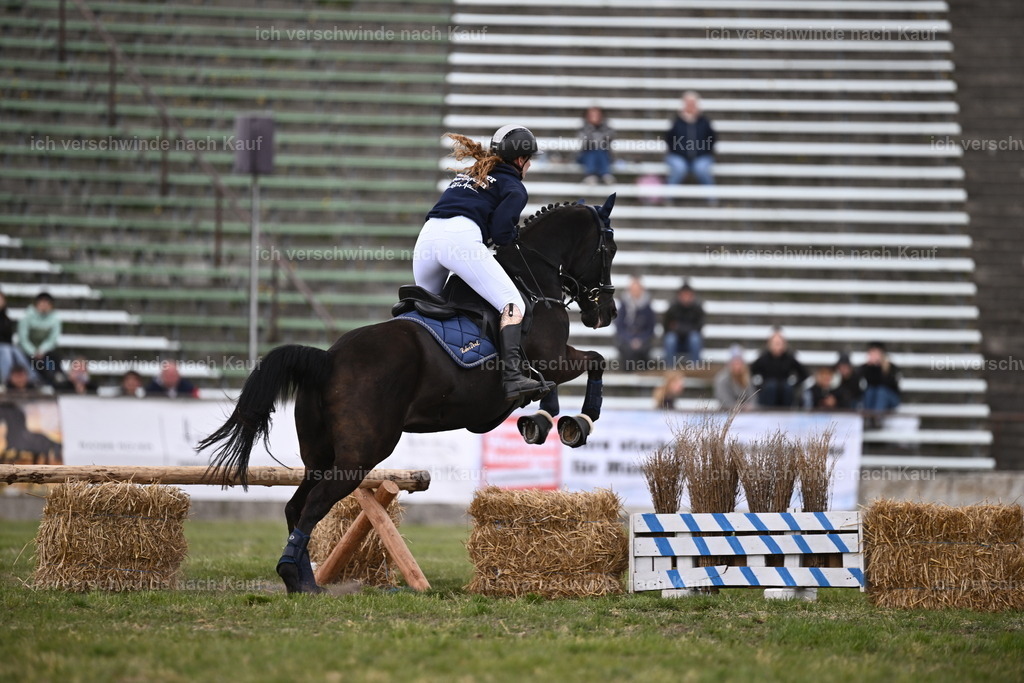 PI26_Show_Sara_Landvogt_226_1846.JPG | working equitationturnier fotograf videograf stoibphotography marixx film working equitation deutschland reitsport turnierfotografie eventfotografie equestrian events