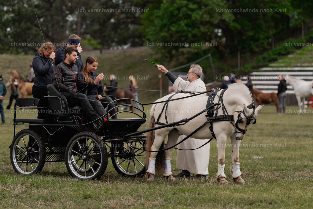 Showprogramm-11 | working equitationturnier fotograf videograf stoibphotography marixx film working equitation deutschland reitsport turnierfotografie eventfotografie equestrian events
