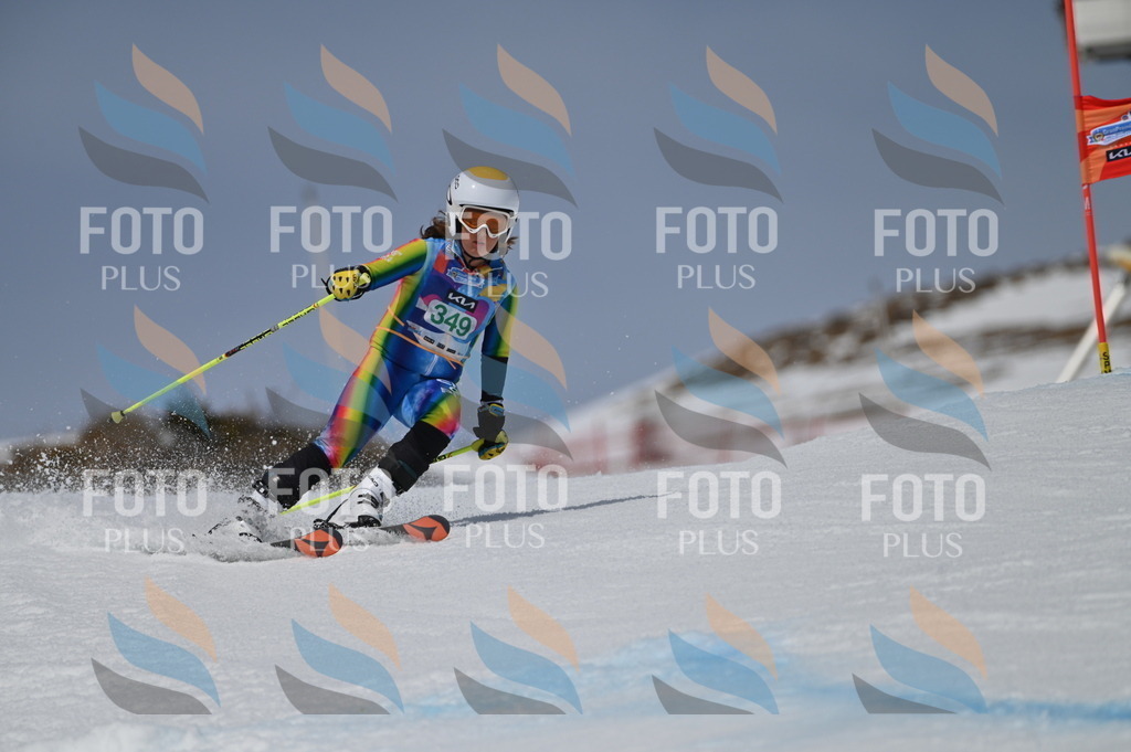 BGV_6869 | holidayphoto