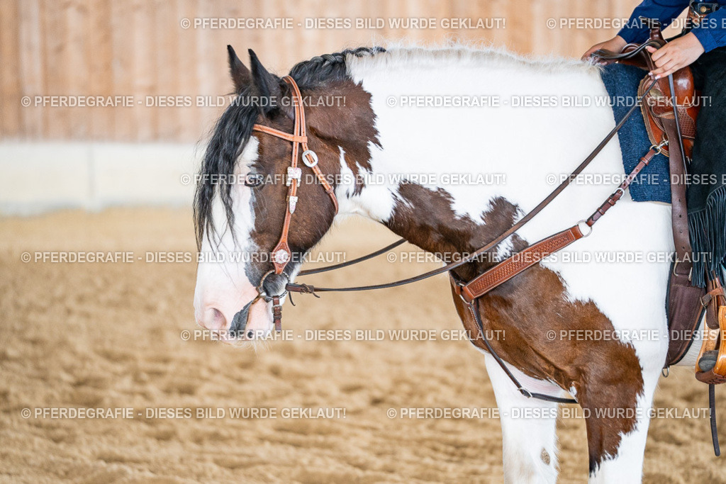 DSC02976 | Pferdegrafie