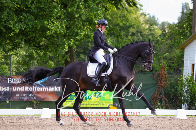 DKP41736 | Turnierfotos kaufen im Webshop von Daniel Kuhl Photography – entdecke professionelle Reitsportfotos aus Turnieren & Events. Hochwertige Turnierbilder online bestellen & sichern. Jetzt Fotos von Reitsportturnieren kaufen!